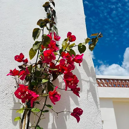 Templo Apartment